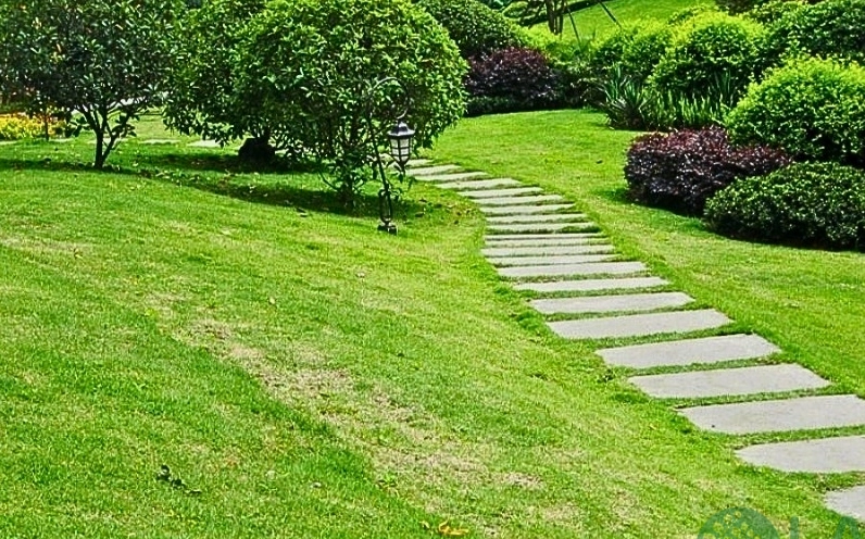 Cỏ nhân tạo phủ sân vườn giúp bề mặt sạch đẹp và gần gũi với thiên nhiên
