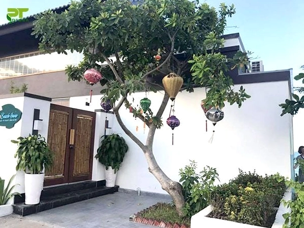 Cụm cây cảnh sân vườn được sắp lớp tự nhiên trong không gian thoáng sáng, nổi bật vẻ xanh mát và chiều sâu thị giác