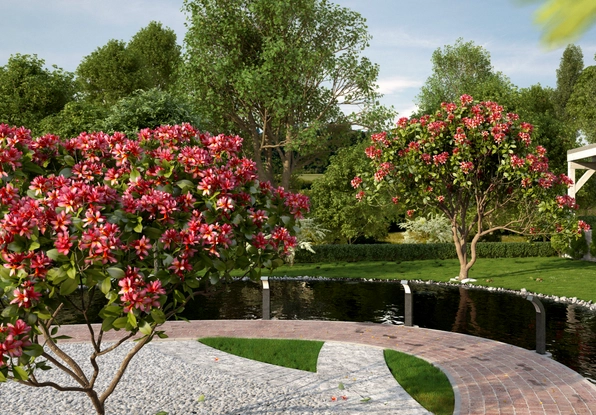 Cụm hoa Đại Cát nổi bật với dáng nở tròn đầy và sắc hoa cuốn hút trong ánh sáng dịu