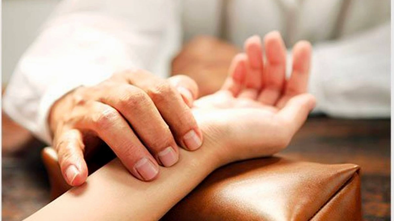 Cụm hoa và thân lá cây Xuyến Chi hiện lên rõ nét với vẻ hoang dại nhưng rất cuốn hút
