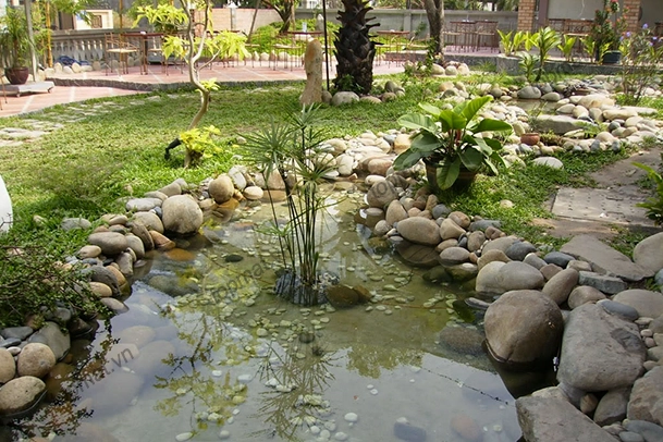 Đá cuội đẹp làm tiểu cảnh với những viên đá tròn xen kẽ cây xanh tạo góc vườn thư giãn