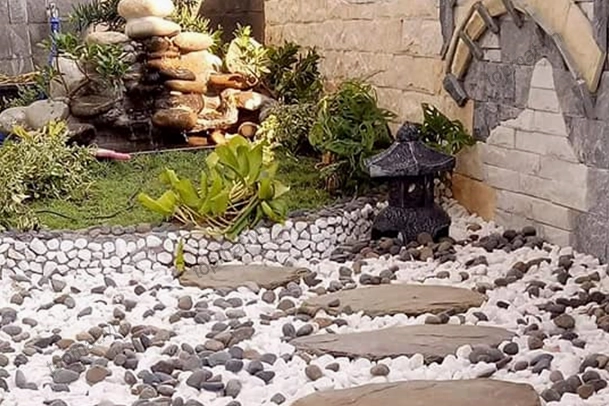 Đá sỏi trắng trang trí sân vườn tạo vẻ thanh sạch quanh cây cảnh
