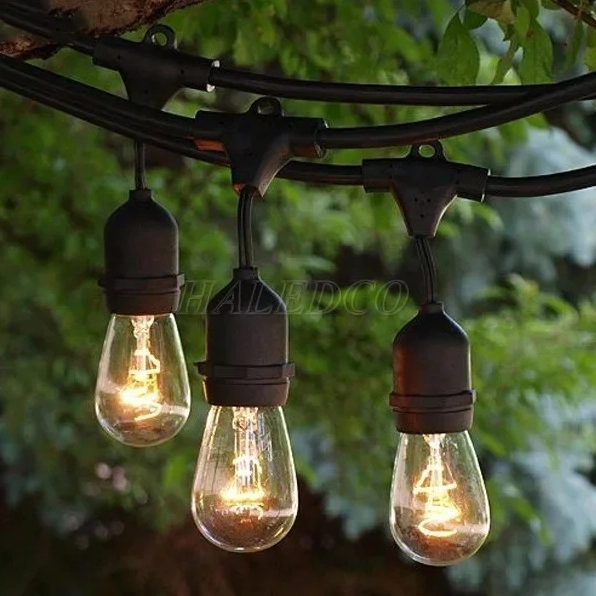 Dây đèn LED trang trí ngoài trời chống nước treo dọc cành cây và không gian sân