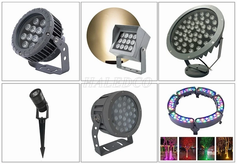 Đèn chiếu cây sân vườn nhiều kiểu dáng hắt sáng vào thân và tán cây