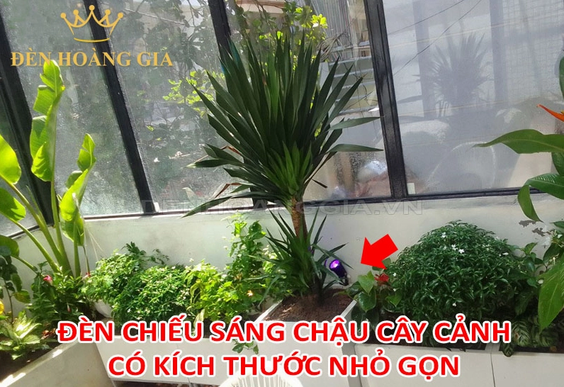 Đèn chiếu sáng chậu cây cảnh nhỏ gọn đặt gần gốc cây