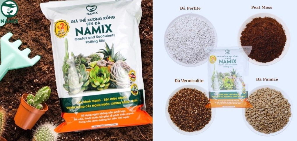 Giá thể trồng sen đá chất lượng giúp Sen Đá Bắp Cải thoát nước tốt và hạn chế úng rễ