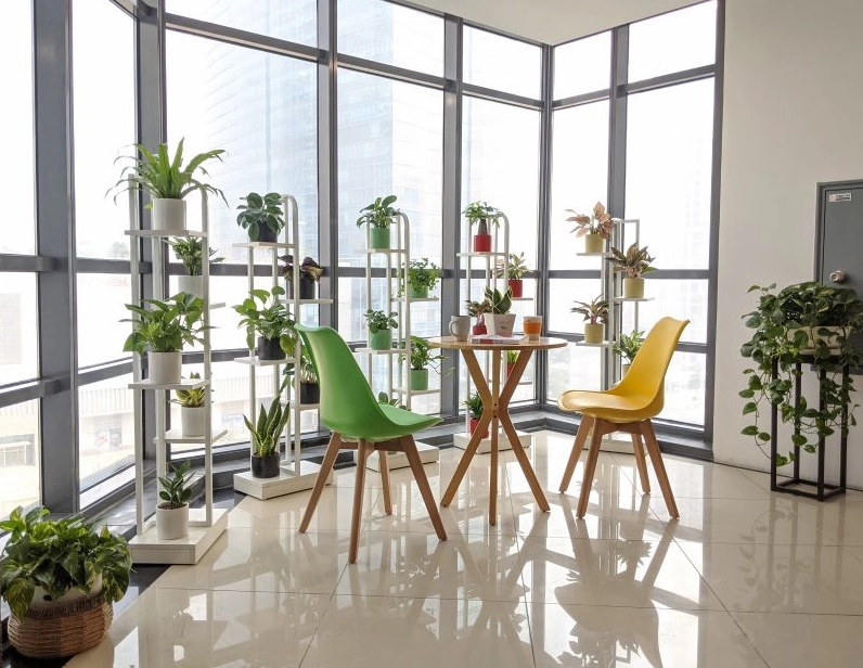 Góc décor cây xanh trong nhà với chậu cảnh hiện đại phù hợp phong cách trưng bày Cây Kim Phát Tài
