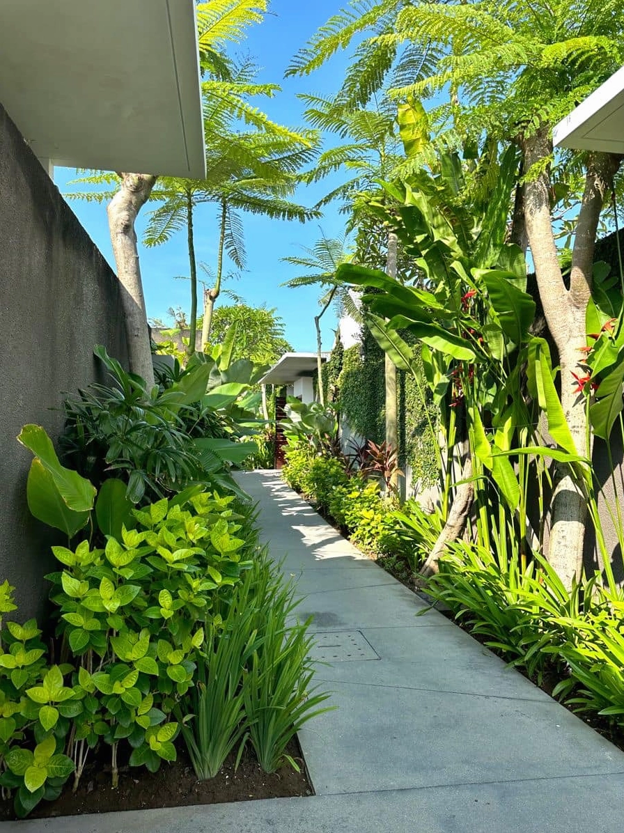 Góc sân vườn bên hông nhà được bố trí cây xanh và lối đi gọn gàng như một lời nhắc về sự cân bằng khi thiết kế