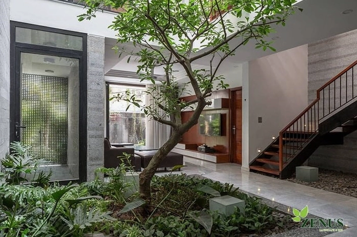 Góc tiểu cảnh sân vườn trong nhà Hà Nội với cây lá xanh tạo chiều sâu thị giác