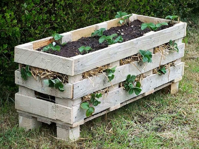 Góc trang trí sân vườn bằng pallet gỗ đẹp với cảm giác ấm cúng ngoài trời