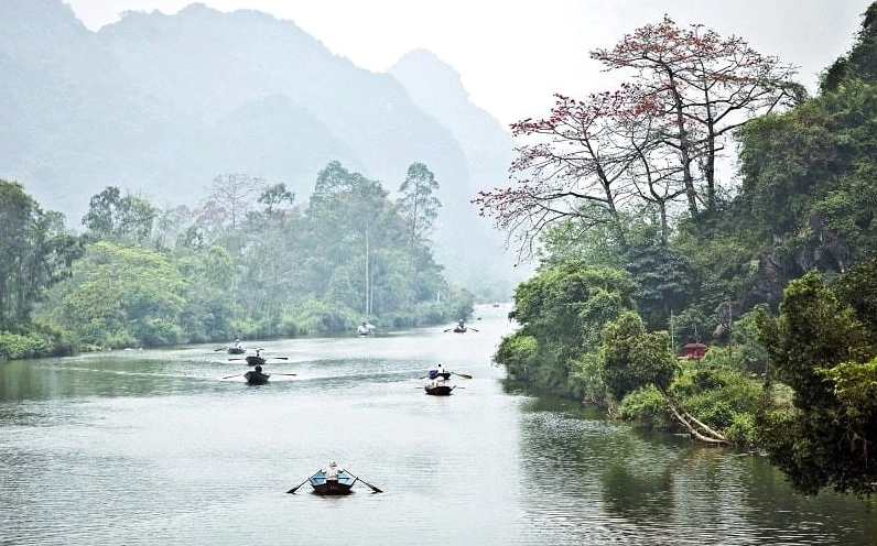 Hàng cây gạo ven suối Yến nở rực tạo nên dải màu đỏ nổi bật giữa thiên nhiên xanh mát