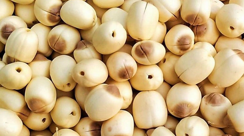 Hạt sen tròn đầy trong đài sen gợi cảm giác an hòa và cân bằng