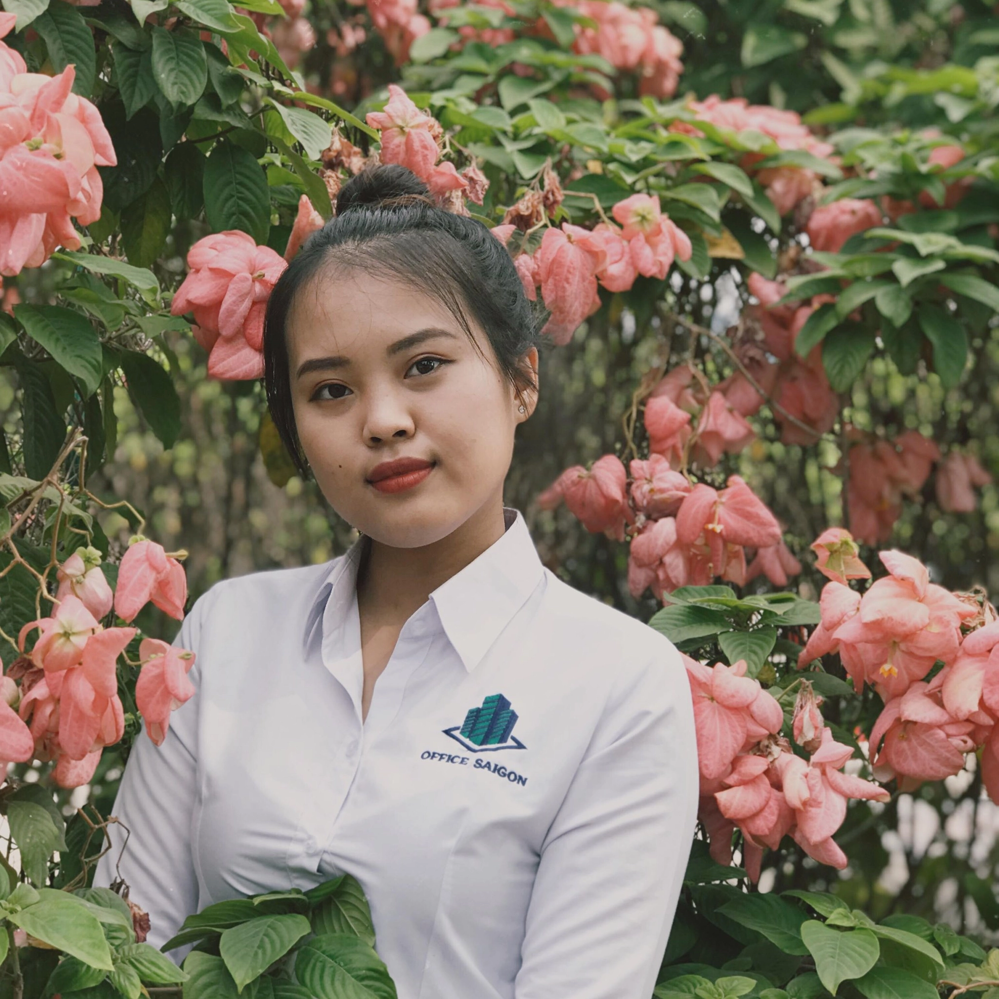 Hình ảnh cây đại de vương xanh dùng minh họa phong thủy với sắc lá xanh sâu và bố cục hài hòa