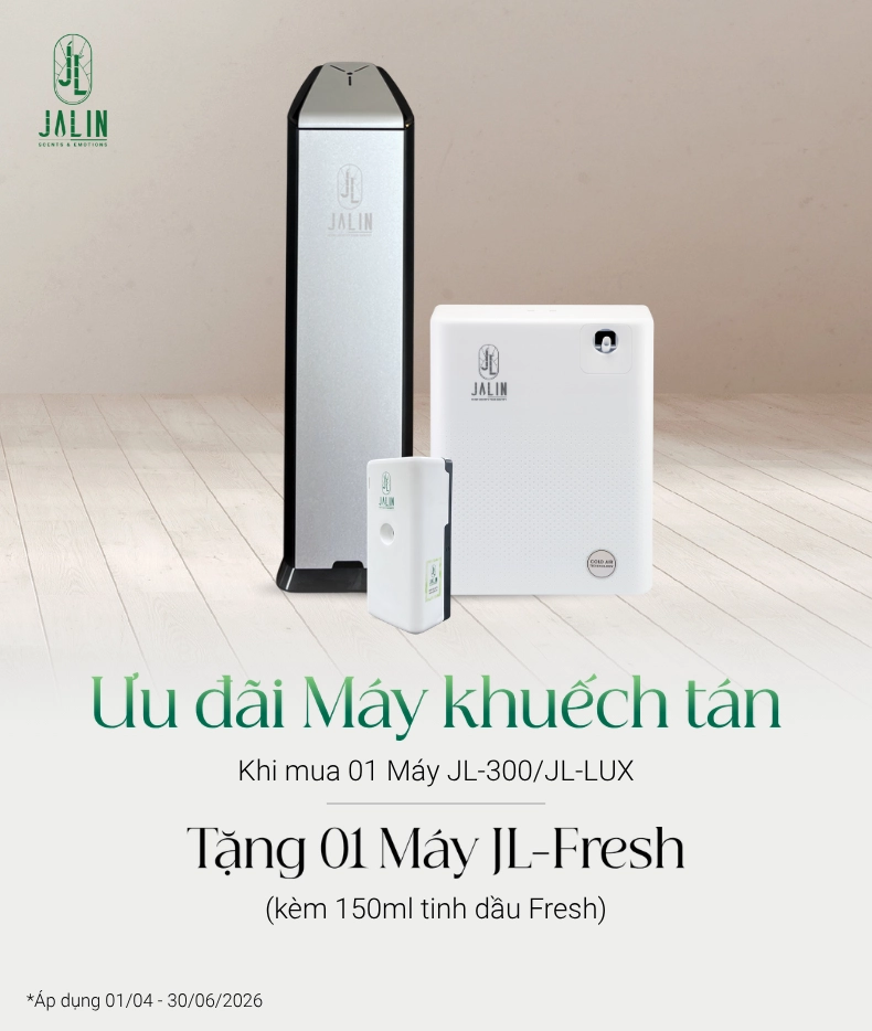 Hình ảnh cây Hoàng Lan với dáng cây xanh tốt, tán lá mềm và vẻ ngoài thanh thoát trong không gian tự nhiên