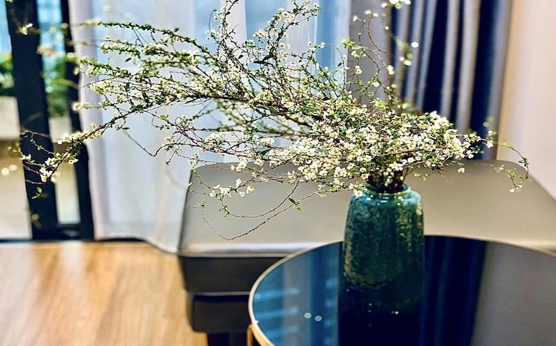 Hình ảnh giới thiệu Hoa Tuyết Mai với những chùm hoa trắng nhỏ nở dày trên cành thanh mảnh
