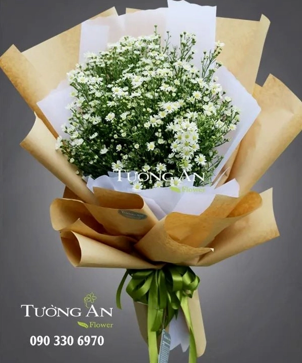 Hình ảnh giới thiệu ý nghĩa Hoa Thạch Thảo với tông màu nhẹ nhàng và cảm giác lãng mạn