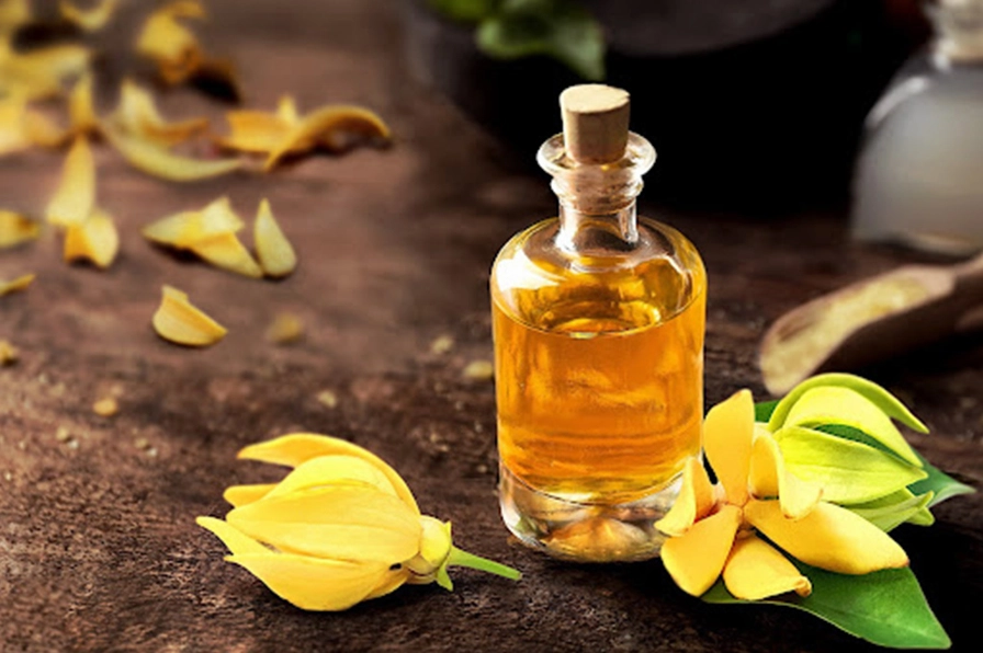 Hình ảnh gợi nhắc đến tinh dầu ngọc lan tây với hoa vàng thơm nồng và cảm giác thư giãn