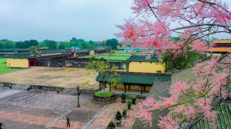 Hình ảnh gợi nhắc truyền thuyết chim phượng hoàng và cây Hoa ngô đồng nơi cung đình