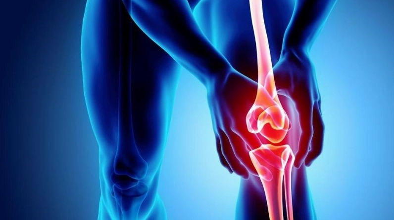 Hình ảnh Hoa hòe trong nội dung hỗ trợ điều trị viêm khớp với bố cục rõ ràng dễ theo dõi