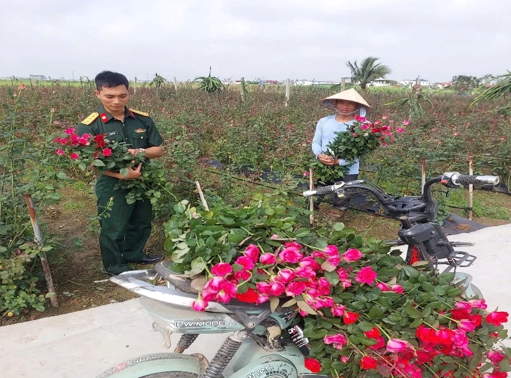 Hình ảnh mảng xanh sinh động giàu tính trang trí gợi cảm hứng phối Cây Trúc Phú Quý trong không gian sống