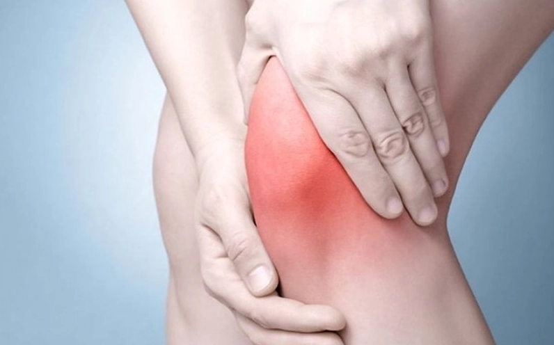 Hình ảnh minh họa quả bách xù gợi liên tưởng đến nguồn hợp chất chống oxy hóa và đặc tính chống viêm