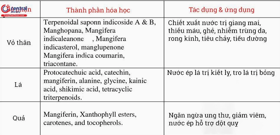 Hình ảnh minh họa tác dụng và công dụng của Xoài trong đời sống thường ngày