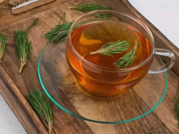 Hình ảnh trà từ lá thông đen gợi cảm giác ấm áp và gần gũi với người cao tuổi