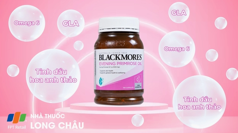 Hình Blackmores Evening liên quan đến Hoa Anh Thảo với phong cách trưng bày rõ ràng và màu sắc nổi bật