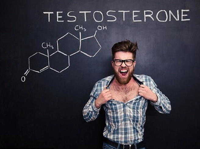 Hình minh họa Cây Cọ Lùn gắn với tác động lên testosterone nam giới qua bố cục lá xanh đậm