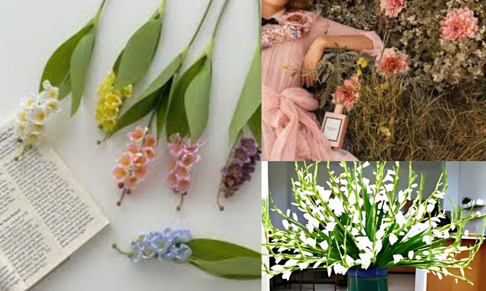 Hình mô tả công dụng của hoa huệ tây với phong cách trình bày rõ ràng dễ quan sát