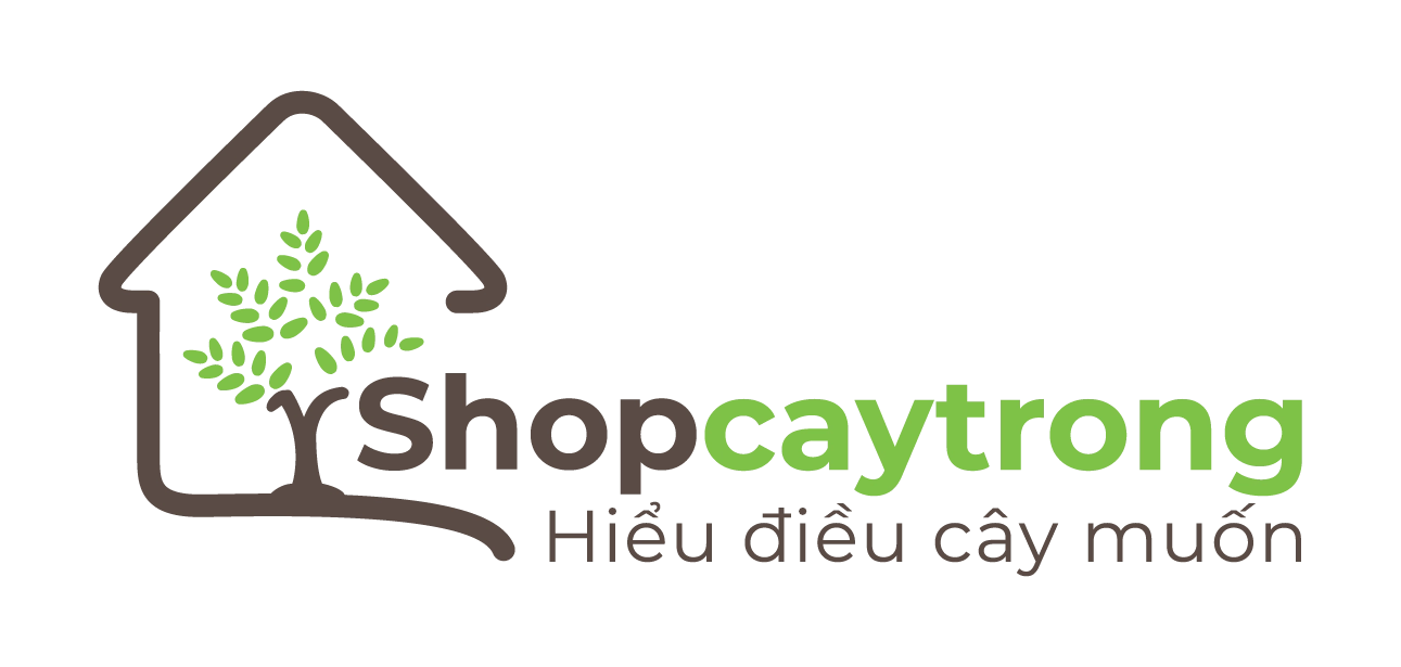 Hình tư liệu từ nguồn về cây trồng được giữ lại trong bộ ảnh Sen Đá Trái Tim sau khi làm sạch dữ liệu