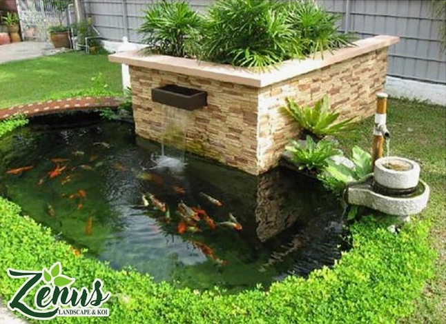Hồ cá Koi mini đẹp với thiết kế hiện đại và đường viền tinh tế