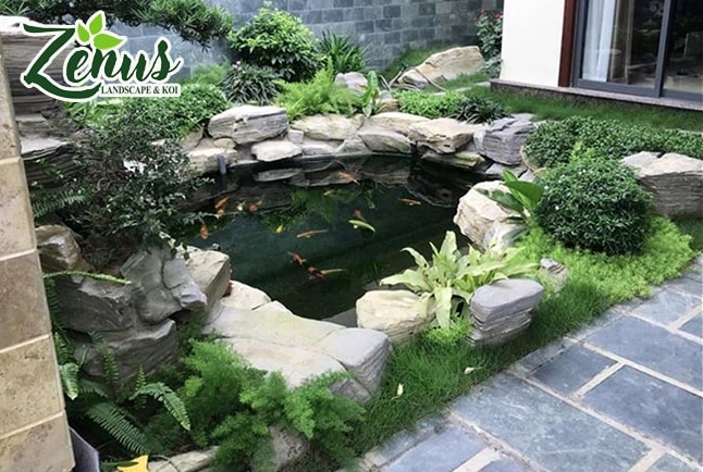 Hồ cá Koi mini sân vườn nằm giữa mảng xanh và lối đi nhỏ