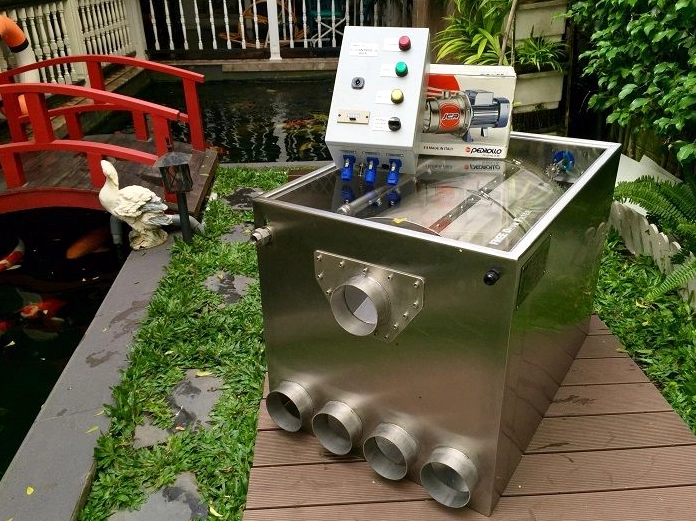 Hồ cá Koi ngoài trời trong sân vườn tạo cảnh quan thư thái gần giàn hoa