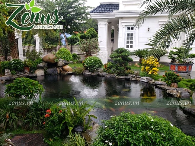 Hồ cá Koi Nhật được thiết kế tinh tế với không gian nước trong và viền hồ gọn đẹp
