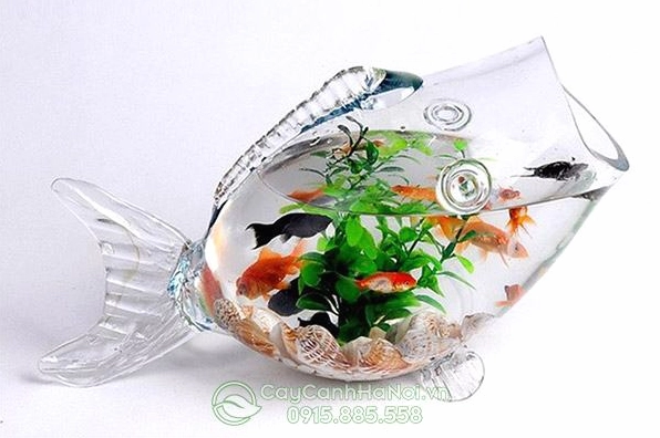 Hồ cá tiểu cảnh mini với bố cục nước, cây và đá tạo cảm giác mát mắt