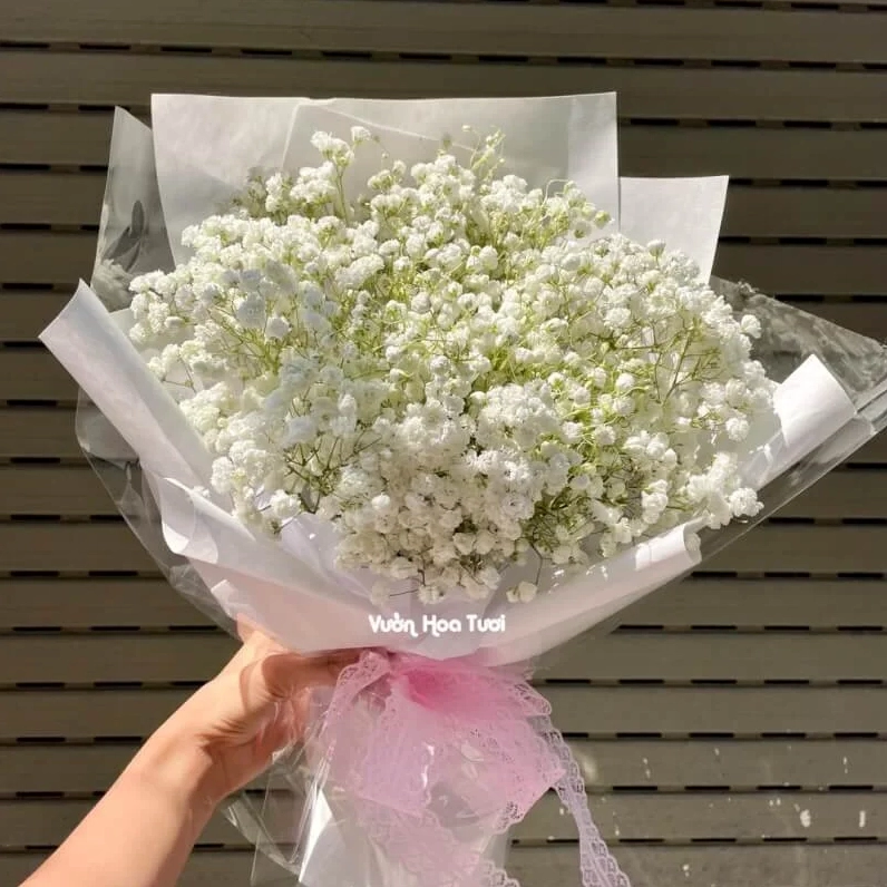 Hoa Baby Hà Lan tông trắng dịu trong kiểu bó quà tặng nhẹ nhàng và lãng mạn