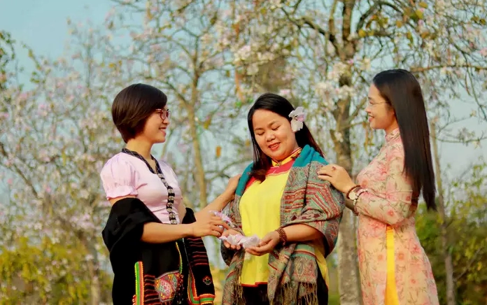 Hoa ban Lai Châu khoe sắc giữa nền núi và trời cao tạo cảm giác hoang sơ mà thanh thoát