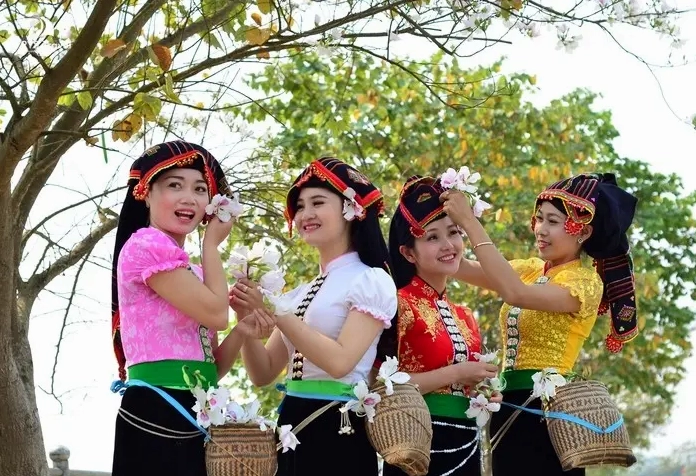 Hoa ban Tây Bắc nở dày trên tán cây giữa không gian cao nguyên thoáng rộng và ánh sáng xuân