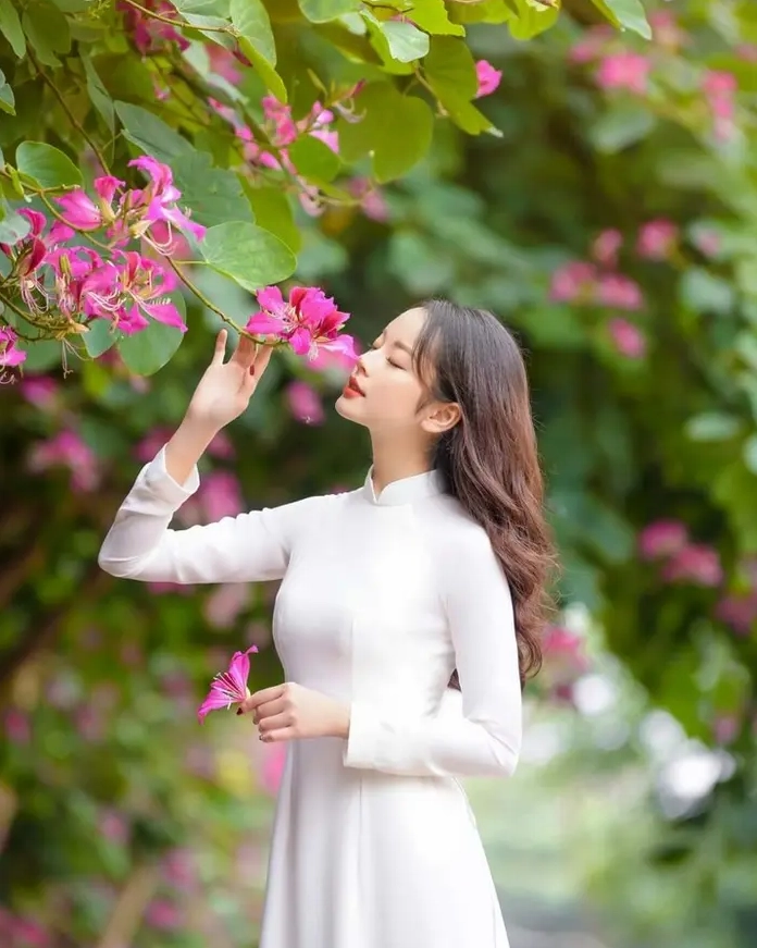 Hoa ban tím mềm mại với sắc tím dịu phủ lên tán cây tạo cảm giác mộng mơ và lãng mạn