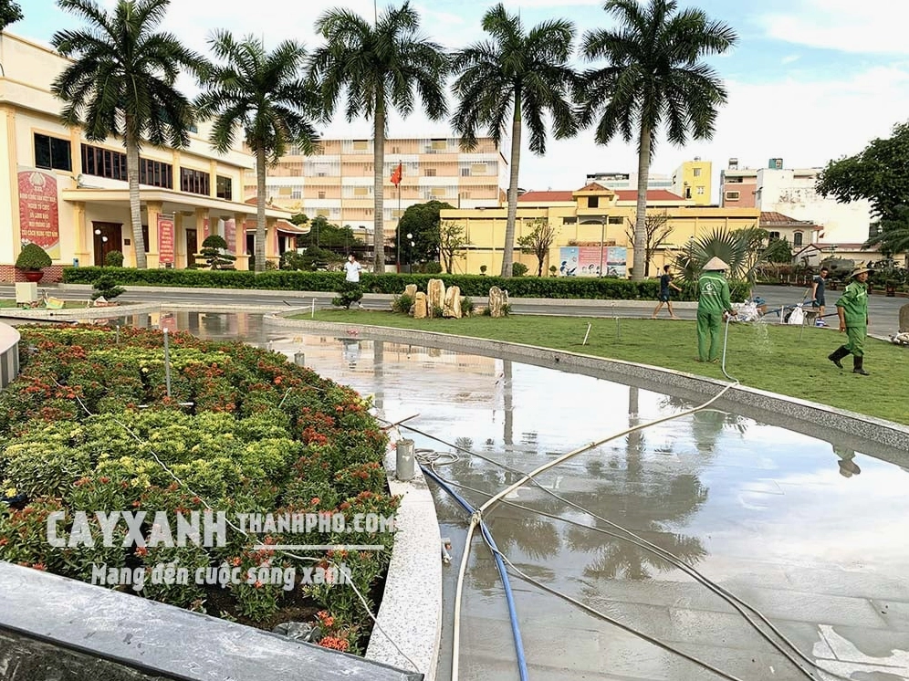 Hoa bông Trang kết thành cụm nhỏ rực rỡ như bó pháo hoa giữa thiên nhiên