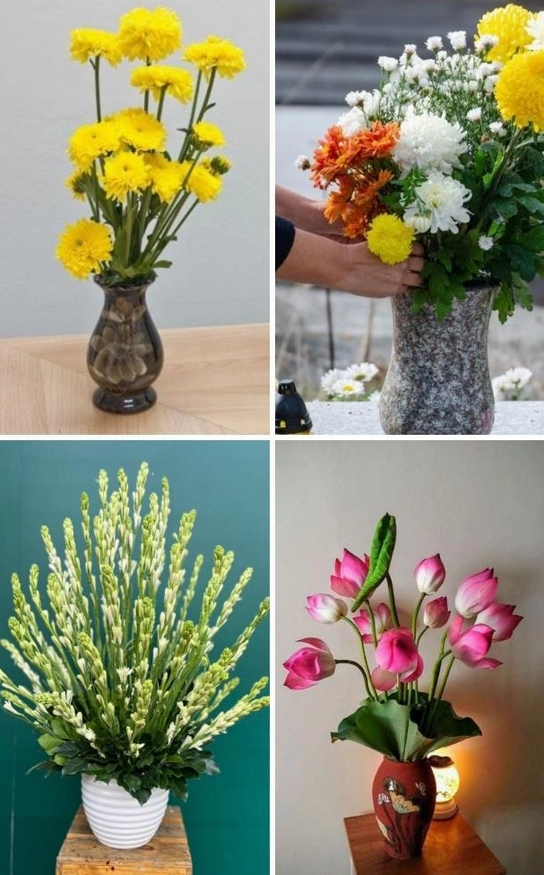 Hoa dùng trong dịp Thanh minh gợi vẻ trang nghiêm và tinh sạch khi chọn hoa phong lan trang trí