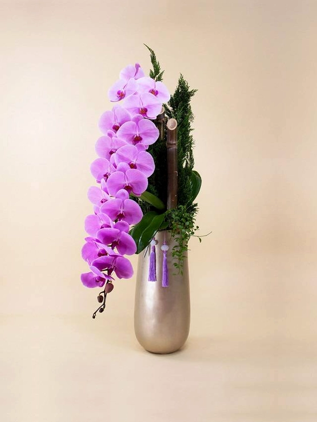 Hoa Lan Hồ Điệp siêu dài màu hồng nổi bật với những cành hoa vươn cao, tô điểm sang trọng cho không gian sống