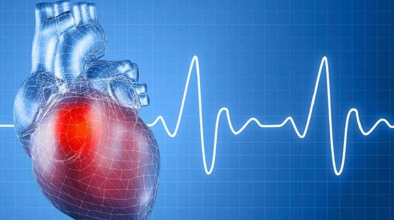 Hoa sen thanh thoát trong khung ảnh gợi cảm giác cân bằng và yên ổn