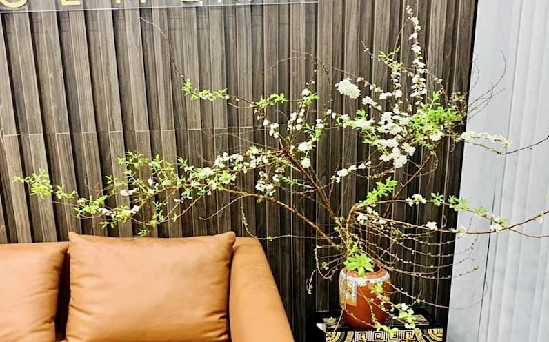 Hoa Tuyết Mai xuất hiện như điểm nhấn trang trí mang lại cảm giác thư thái và gần gũi thiên nhiên