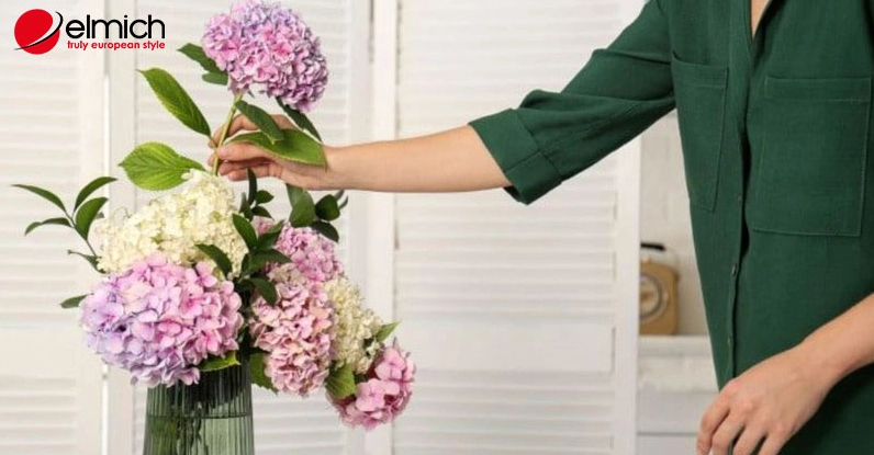 Hoa và lá cẩm tú cầu cần được đặt cẩn thận vì có độc tính nếu dùng sai cách