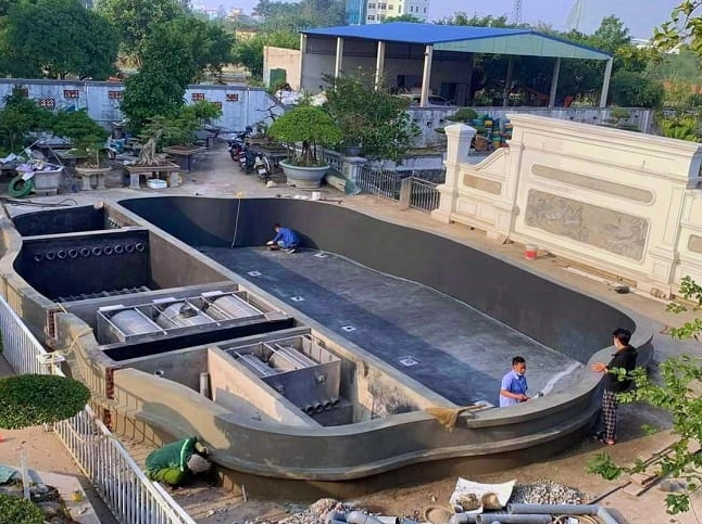 Kết cấu hồ cá Koi đúng kỹ thuật Nhật với thành hồ chắc chắn và mặt nước cân bằng