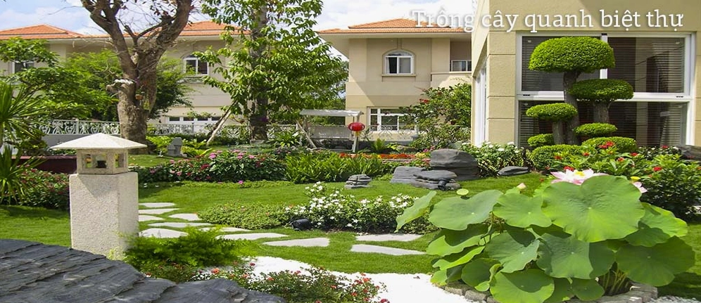 Không gian cây xanh quanh biệt thự tạo bối cảnh thiên nhiên rộng mở và thư thái