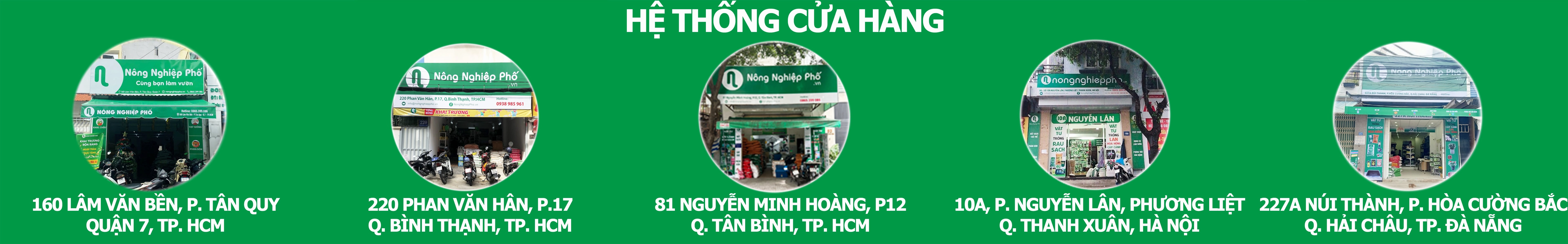 Không gian minh họa hệ thống vườn cây với sắc xanh gợi cảm hứng trồng Cây Nho tại nhà