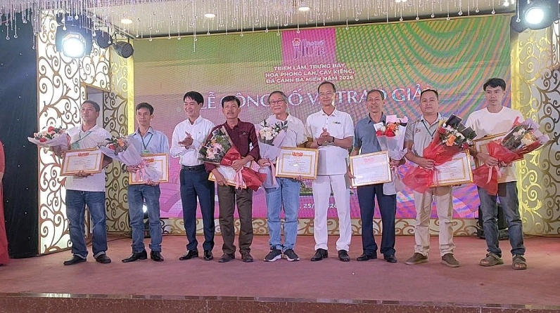 Không gian trưng bày sinh vật cảnh với nhiều tác phẩm xanh tốt và bố cục nghệ thuật